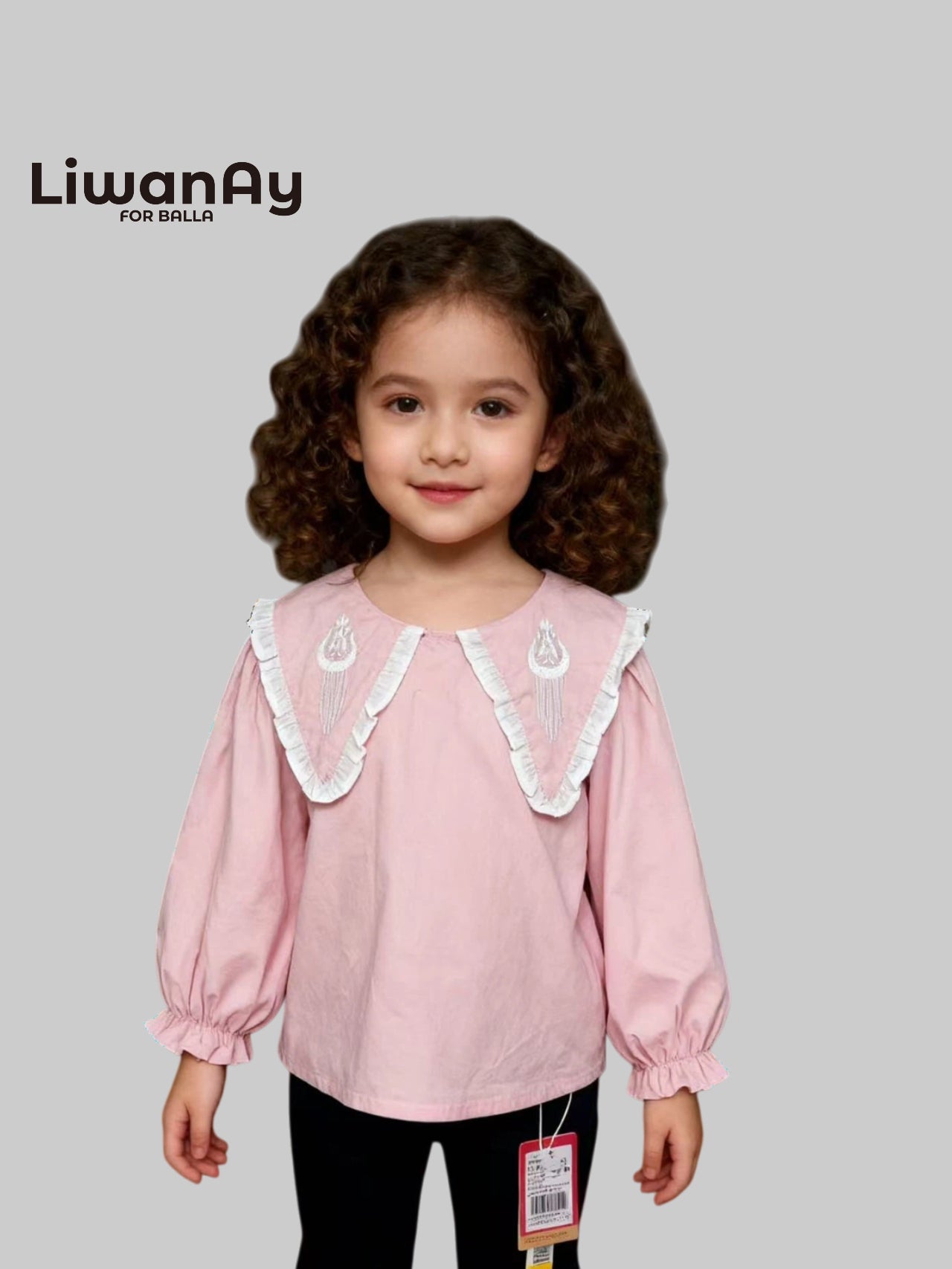 Embroidered Collar Blouse β Classic & Versatile