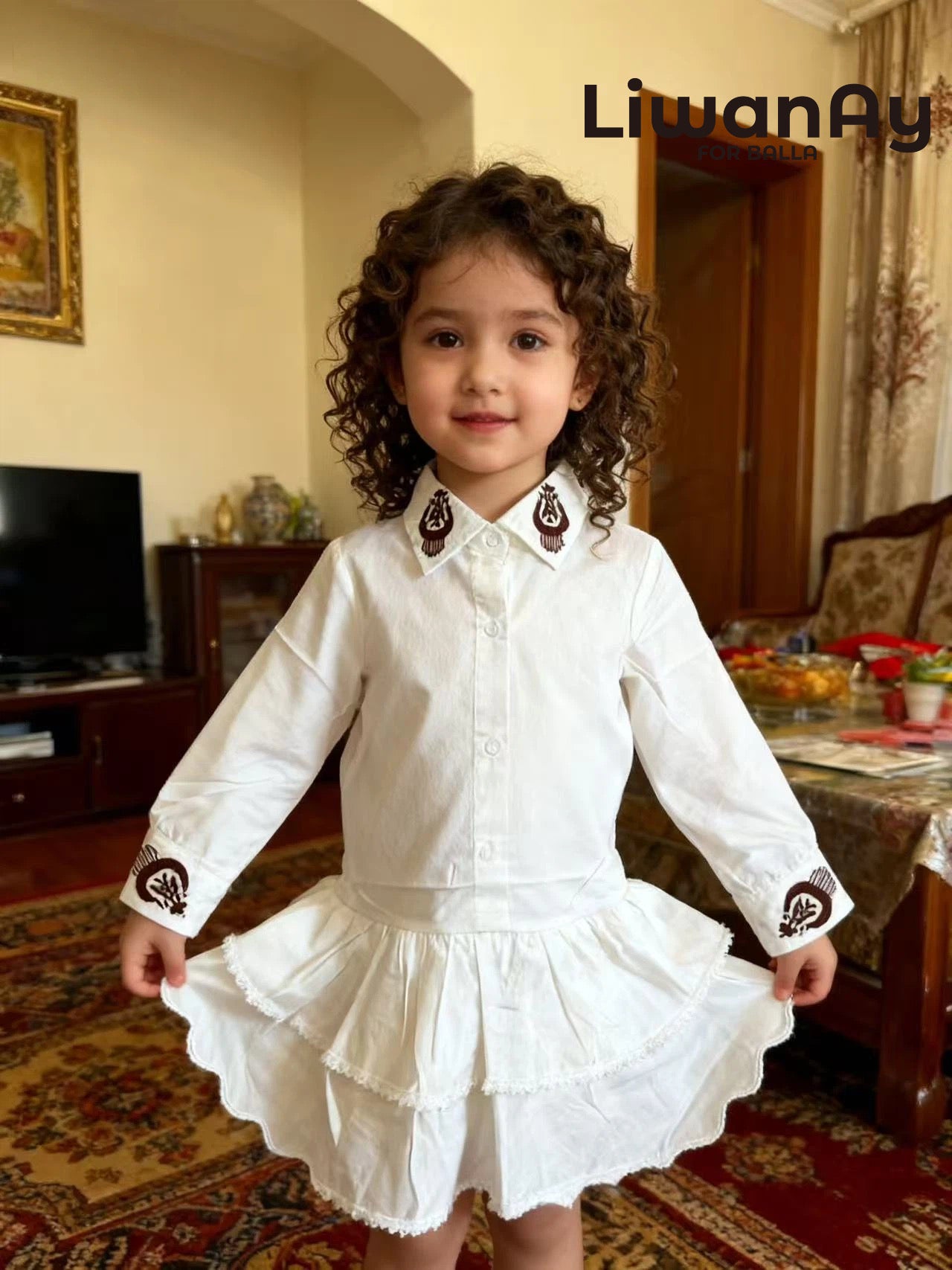 Embroidered Collar Tiered Dress Shirt β Elegant Everyday Style