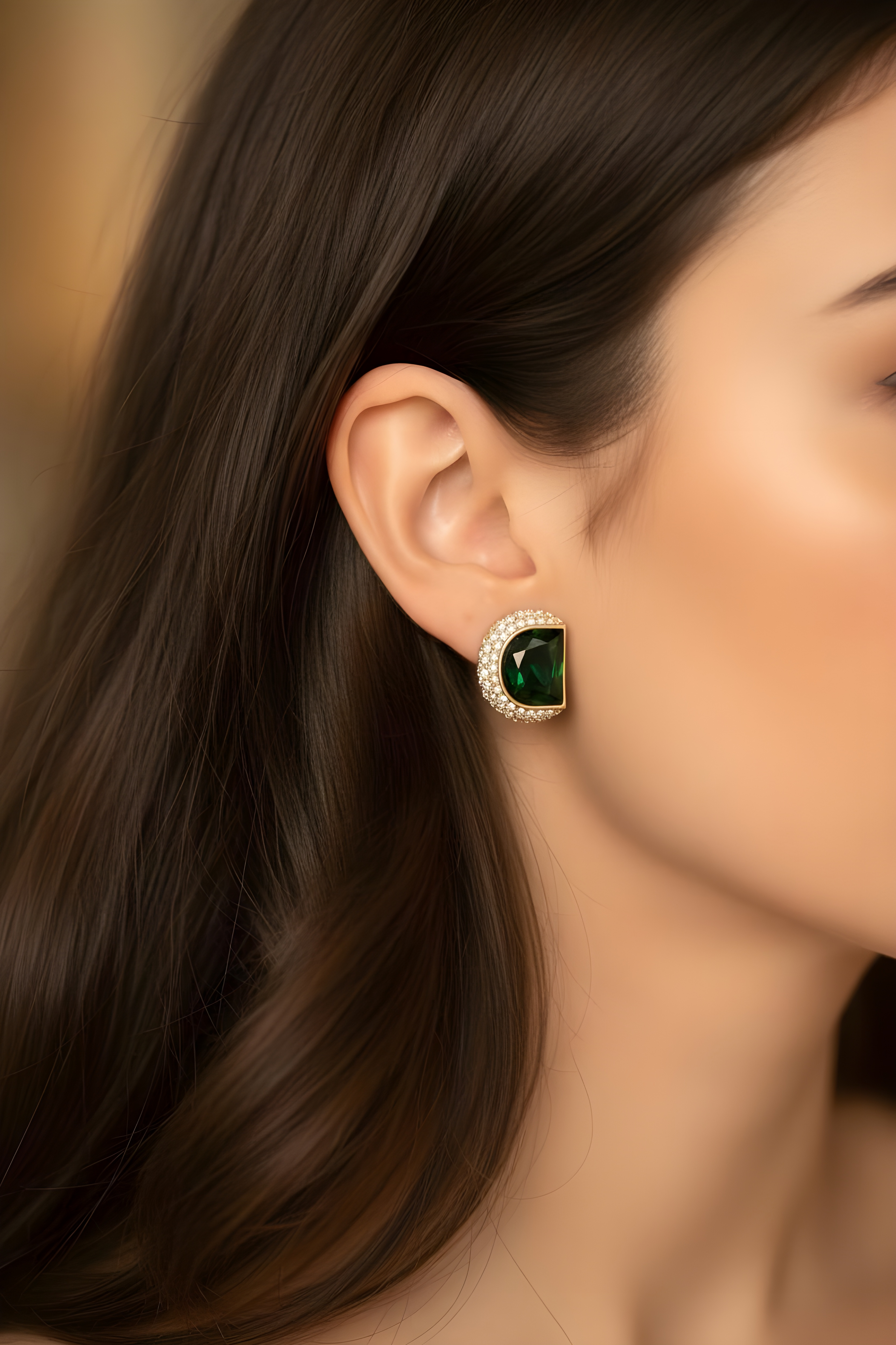 Stainless Steel Luxury Earrings(21)