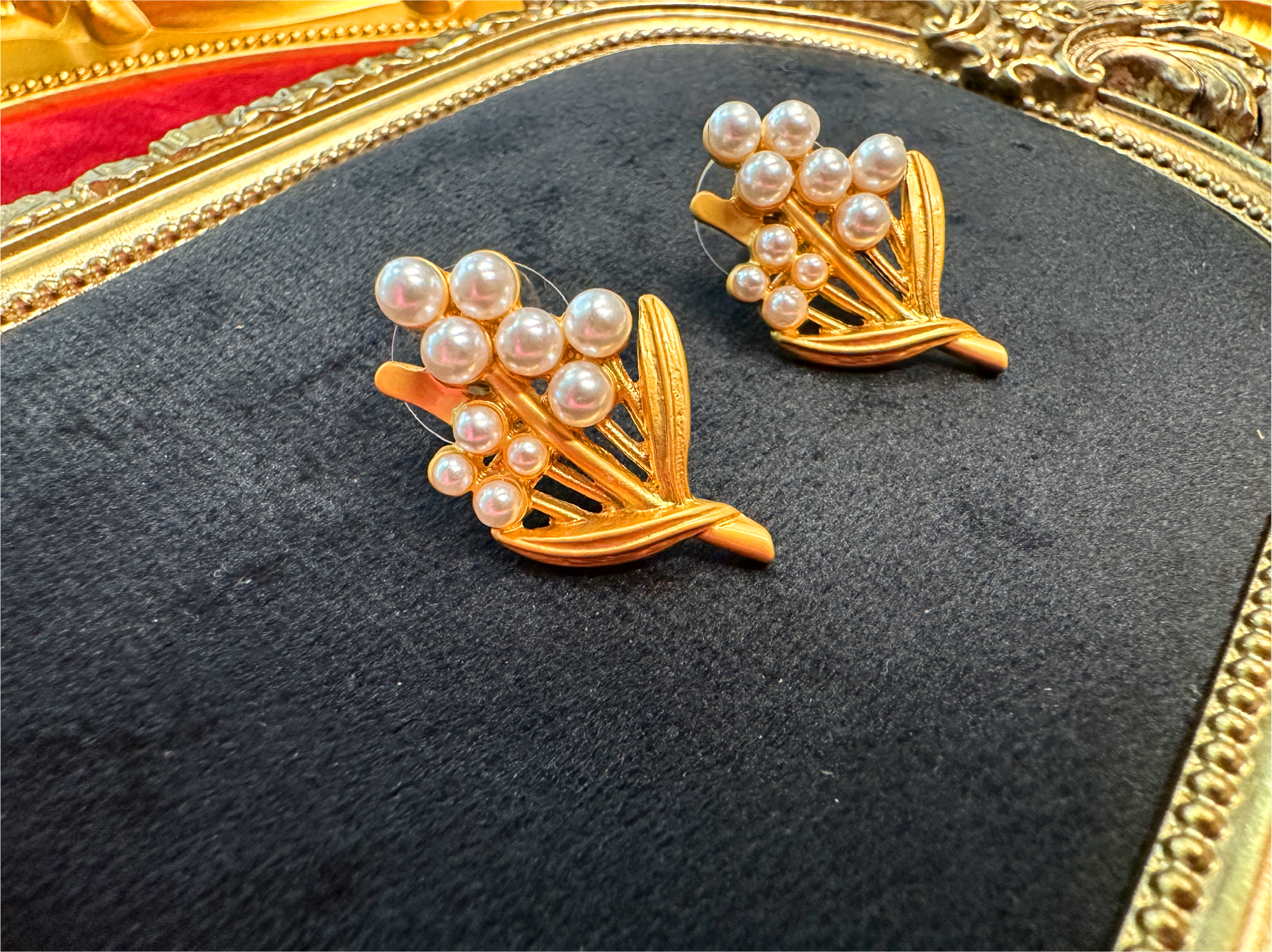 Stainless Steel Luxury Earrings(30)